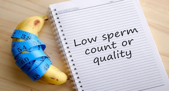sperm count increase
