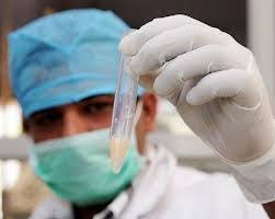 sperm in a testtube