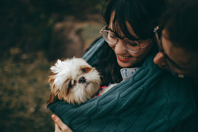 dog